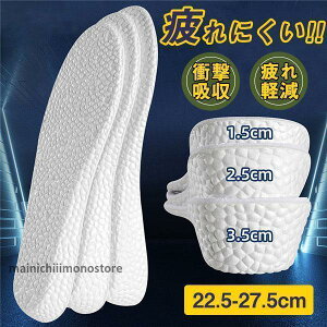 C\[ Y fB[X A[`T|[g ~ ʋC V[NbgC\[ Ռz X|[c Jy n e ɂ