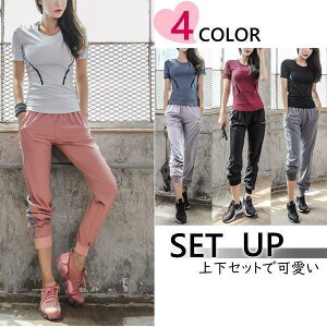 X|[cEFA g[jOEFA KEFA ㉺ ZbgAbv fB[X  W[W 킢 ㉺Zbg [EFA pc pW} TVc