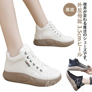 O Xj[J[ ꂸ  Xj[J[ RtH[gV[Y C nCJbgXj[J[   V[Y ꂷۂ Xj[J[ fB[X  JW