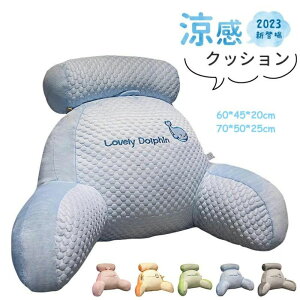 クッション 涼感 アイスシルク2in1多機能クッション 涼感アイスシルククッション クッション 腰&背中の伴侶 腰&背中にフィット 人間工学 涼しい クッション 大きい 背もたれ 腰痛対策クッシ