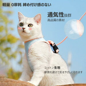 Lp Lp n[lX  L STCY LTCY ˂ lR qL q ^ U o Ȃ xXg \tg ybgpi