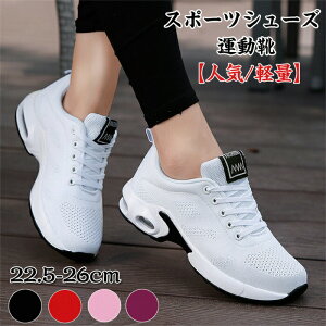 Xj[J[ fB[X  EH[LOV[Y jOV[Y C ^C WMOV[Y W V[Y X|[cV[Y g[jOV[Y _CGbg Ȃ ~