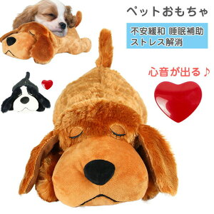   S ʂ ybg  s  So n[gr[g n sɘa ⏕      sɘa jȂ Õ⏕ߋ sPp 