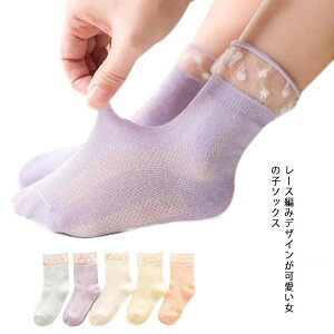 q C 5Zbg  \bNX LbY ̎q xr[nbg bV  ܎O ۈ牀 ct w08`18cm qX  킢 q Mtg v[g j 