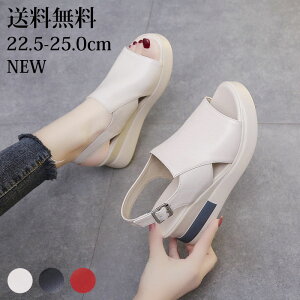 T_ r EFbW\[ T_ fB[X q[  x[W  EGbW\[ ~ZX C ₷ Ȃ ɂȂ JWA RtH[g Xgbv   X