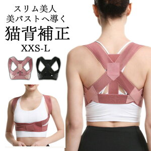 Lwxg pxg w؋xg j Ci[  Y  傫TCY q Lw ڗȂ  pT|[^[ pxg w؃T|[^[ x