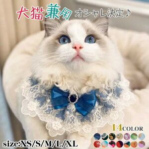 XJ[t hbOEFA LbgEFA 킢 hbO p Lp   L ybg  Xg[ ` ANZT[ 唻 Aj} }t[ 悾ꂩ lR ̕ scarf ^ 