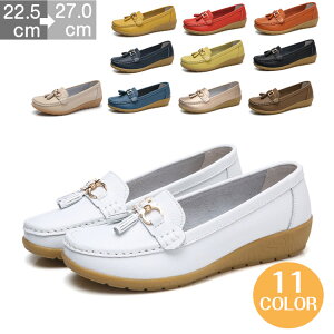 [t@[ fB[X Xb| 傫TCY Xb|  Sn 3cm [q[ {v V[Y pvX p fB[X JV hCrOV[Y JWA ₷