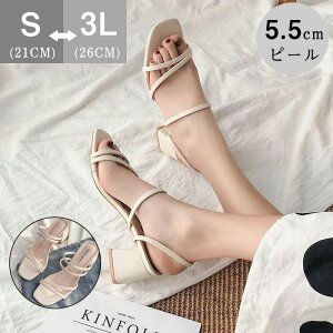 T_ fB[X NAq[ [q[ ؂ tbg ₷ ₷ XNGAgD Xgbv EFbW\[ Ȃ S-3LTCY t  T_ gOT_ 