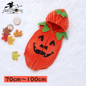 xr[ 킢 NX}X  ڂ pvL Ԃ ̎q j̎q ߑ RXvߑ  RXv  RX`[ NX}Xߑ NX}X hN ] n