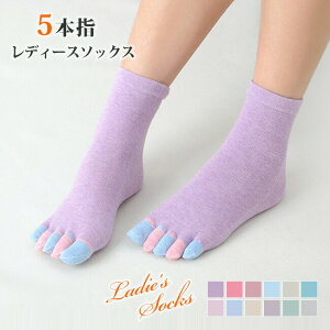 3Zbg jO\bNX C V[g\bNX fB[X p 5{w \bNX ӂӂ ܖ{w X|[c\bNX ܖ{w\bNX Xj[J[\bNX   