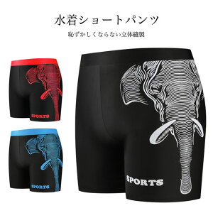 jpc Y gNX V[gpc  Cp  XCpc Zp Xgb`  j XC~O V[p pc ][g T[tpc r[`EFA {