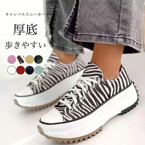 Xb| Xj[J[ fB[X LoXXj[J[ tbgV[Y RtH[gV[Y y  3cm K ʋC _ ~ JWAV[Y V[Y C tbg