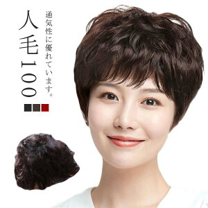 パーマ ウィッグ ショート 人毛100 ウィッグ 医療用 自然黒色 自然茶色 人毛100% ミセス 茶 自然 黒 フルウィッグ カール パーマ レディース 女性用 ふんわり 全かつら 医療用ウィッグ wig 自然