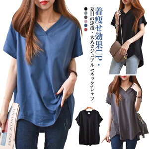 fB[X gbvX TVc  TVc tVc VlbN n Vv    K z ʋC 傫TCY o d ʋ