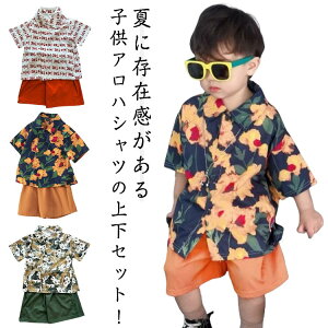 �c�t�� �ߑ� �j�̎q �A���n�V���c ���̎q �n�[�t�p���c �_���X �q���� �L�b�Y �q���� ���Y�{�� �V���c ���� �㉺ ���w�� �p�W���} �W���j�A �Z�b�g�A�b�v ���w�� �A���n�V���c �W���j�A ���� 