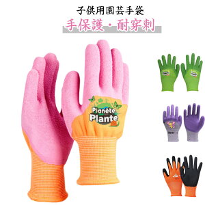 j̎q | qp ̎q h S |p @ LbYp ZOwK 3-8 wNp Ǝ K[fp gQh~ hh~ ԐA ~ K[fO[u O[u ی 