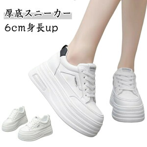 6cm fB[X Xj[J[   C EH[LOV[Y q[Abv JWA ₷ PUU[ Cq[Xj[J[ gup  _CGbgXj[J[ Vv NbV