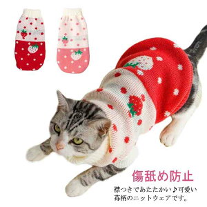 ybg Z[^[ LbgEFA hbOEGA ~  C`S  h  jbg 킢 L ^ ˂ lR qL q eL  2color ybg 畆ی L  h 