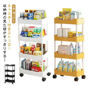 Xg[[ 4i  15cm X Ԏ[ LX^[t Lb`  [  ԃbN [S Ԏ[S Lb` X[ RpNg  Lb`Ԏ