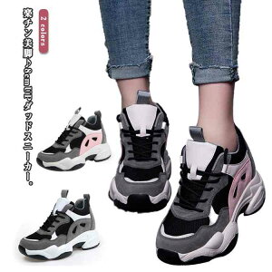 Xj[J[  8cmUP _bhXj[J[ gAbv ^C fB[X ʋ ʋC wȂ ɂ TCY w ʊw C\[