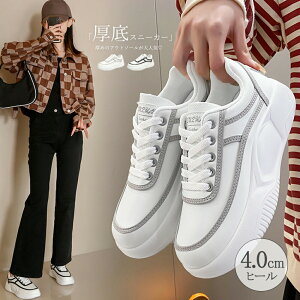 Xj[J[fB[X Ȃ ؍ [XAbv [JbgXj[J[  ʋΒʊwC ₷  rr JWAV[Y _bhXj[J[ 86DK-001