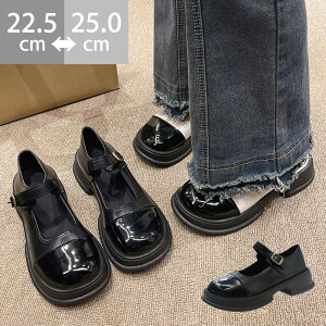 ꃍ[t@[ fB[X ؍ w@ hXV[Y r C U[  ʊw ɂ ₷  K {[\[ 99GYXC-068