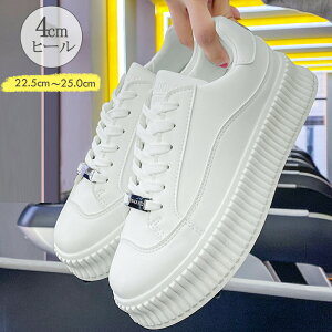 Xj[J[ fB[X [Jbg ؍t@bV C rV[Y {[ ₷ JWA EH[LO ʊw s  zCg 99GYXC-033