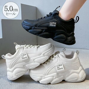 Xj[J[ _bhXj[J[ r fB[XV[Y ₷C JbRCC K[[ X|[eB[ Xg[g JWA AEghA  ؍ 99DKXY-023