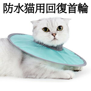 hLp񕜎ցAyʔLpR[ցA_炩KȃGUxXJ[EAr߂~hybgpیցAp̎qLpR[