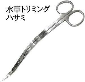 g~OnT~ I[XeX g^S 25cm ANAEp| Mы ϗtA ~͙ eiXc[