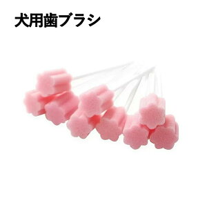  L X|W uV100{Zbg  ĝ   _炩 h ʕ \tg ybgp p V L̎uV Η\h   sp gїp ӂ 