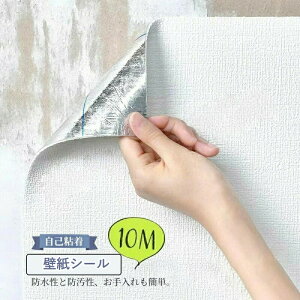 ǎ 10m  ǎV[  h hɂD ǎ ^C ͂ lC̃Lb` ʏ gC CeA n DIY ϖՐ h S Cɂ\ 嗝 h Lb` 