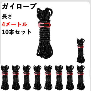 KC[v eg[v Lv [v ^[v[v pR[h 10{/Zbg 4M ߉\ ˍޓ ݋&[ܕt ω׏d350kg Lvpi eg݉c