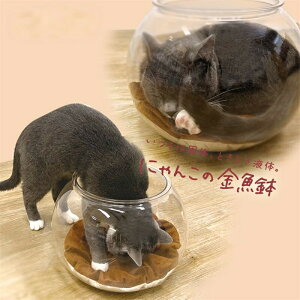 ɂ񂱂̋ L L qLp ANLیJo[ ̂ŔLώ@ł܂ h~ Փ˖h~ LɈSŉKȑ񋟂܂