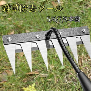 Gc[ 背[L F  v[ XeX|  K[f[L XeX  G G G΍ 蓹 K[fjO  t| c Ő 