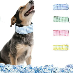 N[lbN N[Xk[h    ΍ Ђ  MǗ\h ^ ^ ^