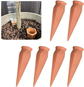  A  6{Zbg  s   A Aؔ  U@ v^[  ybg{g 