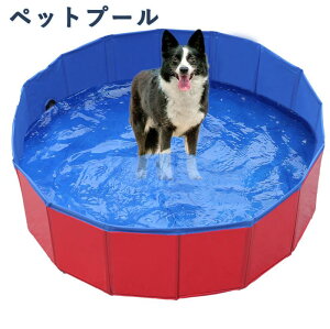 v[ Csv qp/ybgp ybgpv[  ybgoXv[ rj[v[ ܂ pv[ oX^u ϖ h SS V XC~O  p r[`p 