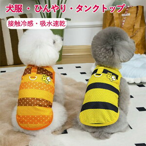   Ђ ^Ngbv ⊴ bV  ėp  ĕ  ʋC  N[xXg Lk EȒP ^ ^ L ΍ Eѕی