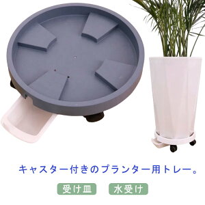 Aؔ 󂯎M M  LX^[t  LX^[tv^[pg[ A  Xgbp[t rpg[ K[fjO | Aؔ  u x_ 