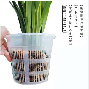 Ӓ Aؔ 10Zbg  t  O Ӓ̐Aւ  vX`bN ̔ I[Lbh|bg ϗtA Aؔ A m Ӓ v^[ ۈ牀|bg 