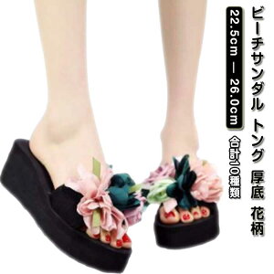 r[`T_ gO  ԕ ؂₩ fB[X T_  T_ ɂȂ 3cm/6cmq[ EGbW\[ gOT_ q[ tbg ؂ {[ l 