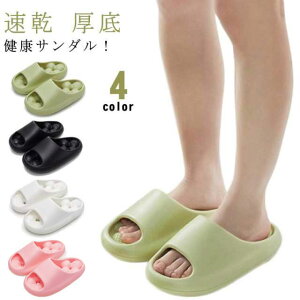 NT_ Xbp c{ fB[X Y   y  ؂T_ V[T_ [V[Y ᔽ ₷ _炩 C x_p qp  O