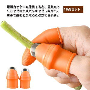 18_ZbgIwiCt |piCt jp ewJb^[ tBK[Jb^[ VR ؎n |n  ؎n ʕn wی yʃ~j ԙ ֗ObY K[fjOc[