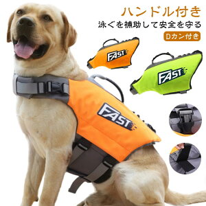 p CtWPbg  ~ ^ ^ t[eBOxXg CtWPbg   dJt nht C  V v[ V C SUP Tbv  jP