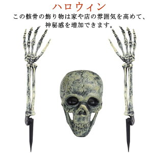 �H��V�~�����[�V���� �[�� �C���e���A �͌^ ���A�������� �n���E�B�� �A�[�� ���W�� �X�J�� ���f�� ���� �������� �v���X�`�b�N �̎��� ���� �n���E�B�� �n���E�B�� 3�_�Z�b�g �]�� �p�[�e