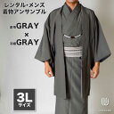 往復送料弊社負担 【レンタル】メンズ着物アンサンブル【対応身長180cm～190cm】【 3Lサイズ】フルセットー着物グレー×羽織グレー 着流し 羽織 パパ着物 父親 春 秋 冬 着付け簡単 おしゃれ着 カジュアル 貸衣装 レンタル衣裳 七五三 お正月 初詣 旅行 食事会 レンタ