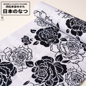 0 H㍞݁yn{dđ㍞݉izl{߂䂩 {̂Ȃ   n  d