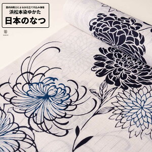 0 H㍞݁yn{dđ㍞݉izl{߂䂩 {̂Ȃ   n  d